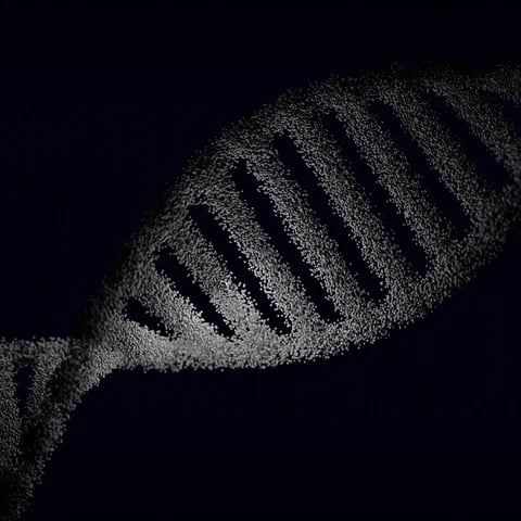 DNA double helix composed of small particles